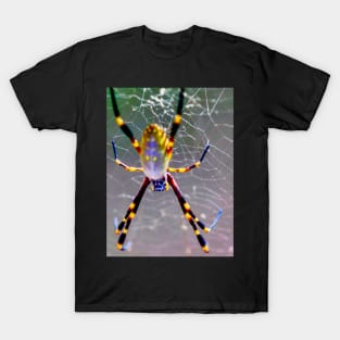 Orb Weaver Spider T-Shirt